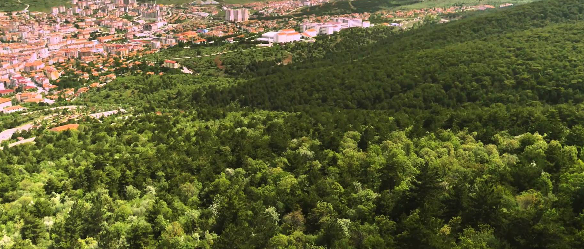 Türkiye'nin ilk milli parkı Yozgat Çamlığı 